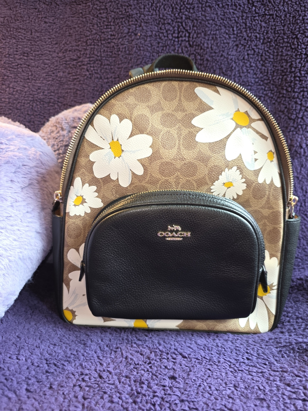 Coach Daisy Print Backpack — Brown/Black/White